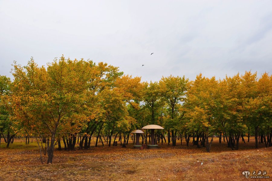 青城旅游避暑勝地——烏素圖