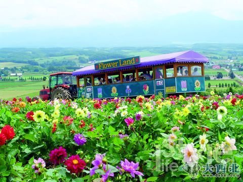 聞香識(shí)北海道