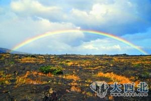 想象之外的夏威夷(圖)