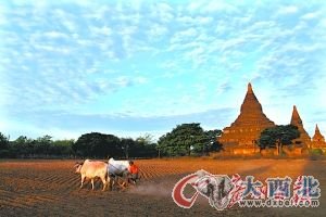 蒲甘與東枝 緬甸的雙生花(組圖)