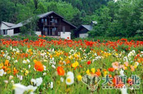 絕境逢生 赴日旅游美麗如初(圖)