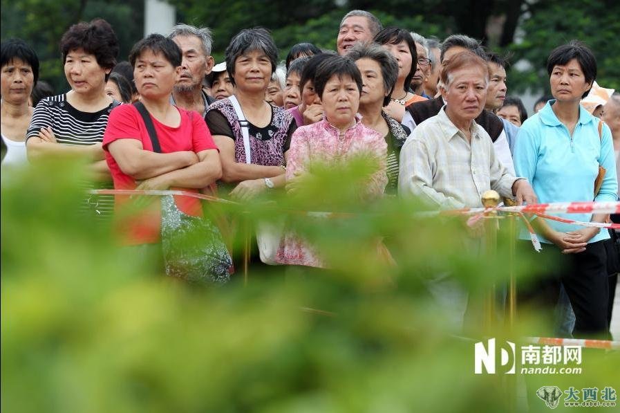 圖為市民等候在圍欄外看著場中數(shù)萬盆杜鵑花躍躍欲試。