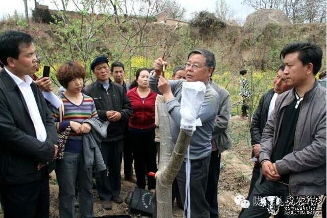 隴南禮縣：小核桃走上農(nóng)民致富大舞臺