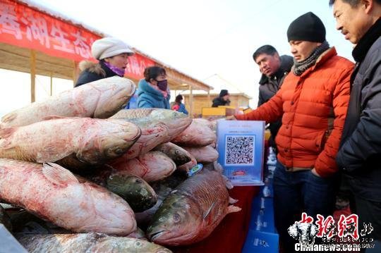 新疆博斯騰湖野生有機(jī)魚二微碼防偽標(biāo)正式啟用