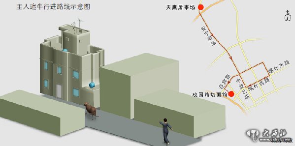 烏魯木齊市安寧渠天鷹屠宰場待宰公牛奪路而逃狂奔八公里