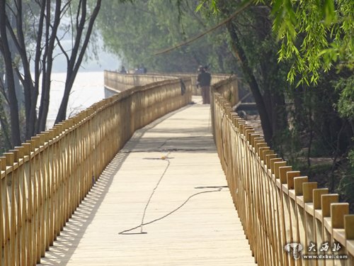 木質步道  風情線的一道風景