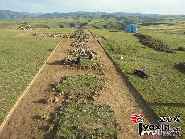 新疆木壘平頂山一古墓發(fā)現(xiàn)整只殉馬遺骨