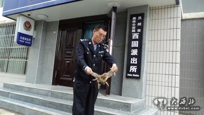 蘭州森警救助國家二級保護(hù)動物