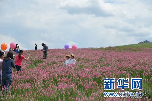 烏魯木齊：山花爛漫迎旅游旺季