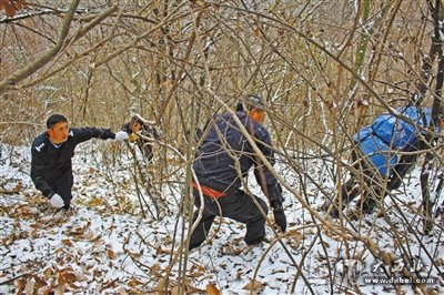 甘肅破獲跨甘陜川湘非法獵殺瀕危野生動物大案，抓獲4嫌犯