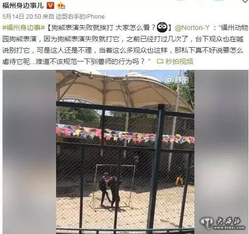 福州動(dòng)物園狗熊跨欄失敗遭腳踢襠部 觀眾憤怒喊停