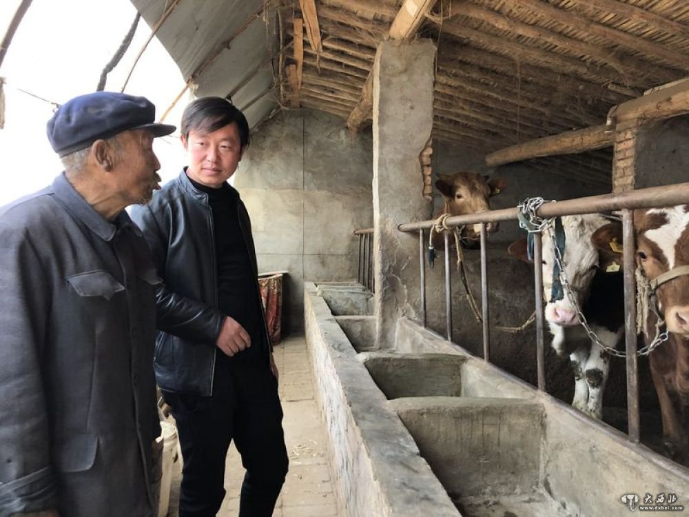 甘肅省定西市通渭縣馬