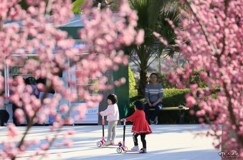 隴南市濱江濕地公園樂