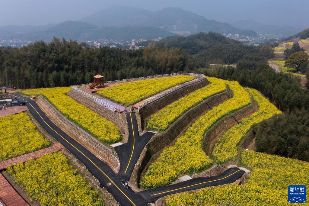 “海綿農(nóng)田”助力美麗