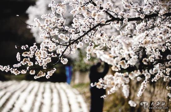 甘肅會寧：昔日四處塵