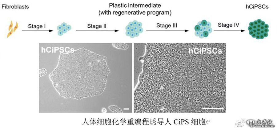 中國科學(xué)家在新一代干