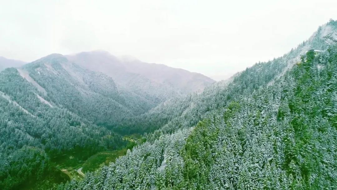 榆中興隆山春景美如畫