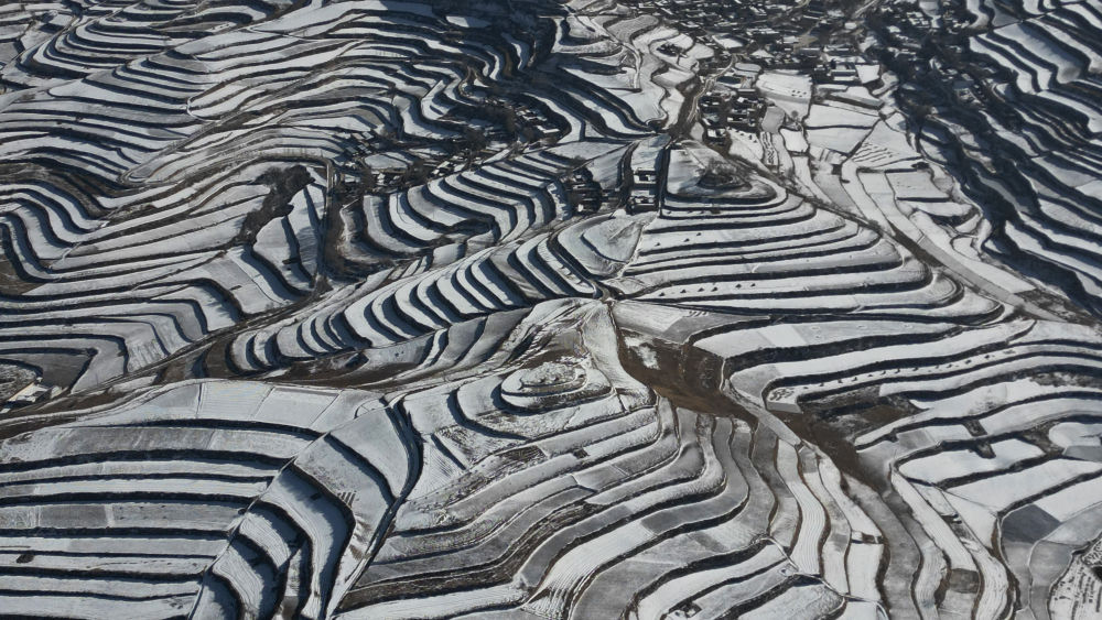 隴原瑞雪迎春盡顯北國(guó)風(fēng)光