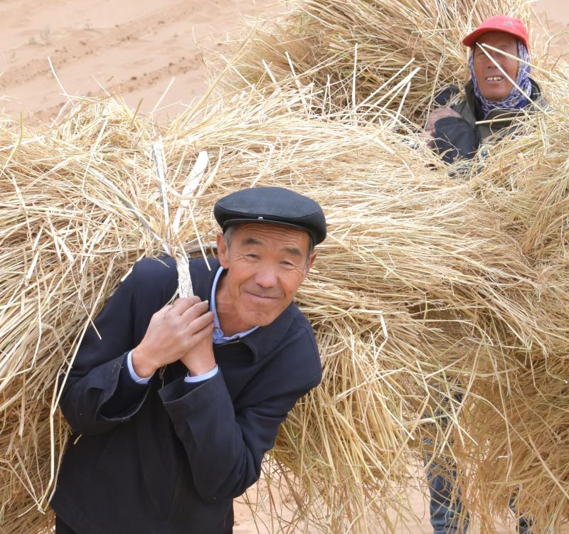 全國(guó)林草系統(tǒng)的一面旗